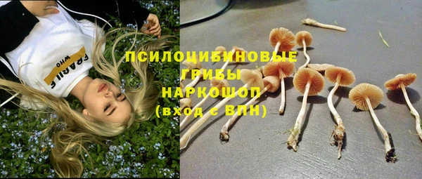 кокс Армянск